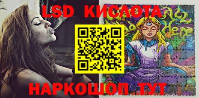 крисы Отрадный