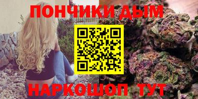 крисы Отрадный