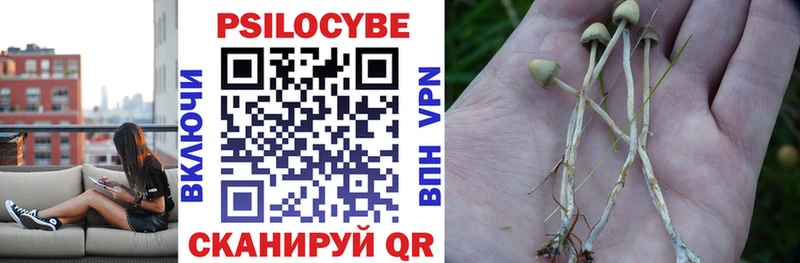 магазин наркотиков Анапа Галлюциногенные грибы Psilocybe