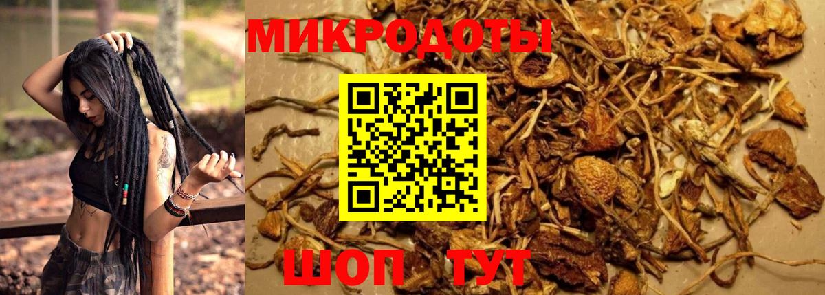 Анапа  Галлюциногенные грибы GOLDEN TEACHER  Вход с VPN  Галлюциногенные грибы Cubensis 
